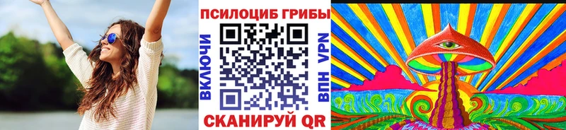 Купить где  Павловский Посад  Галлюциногенные грибы Psilocybe 
